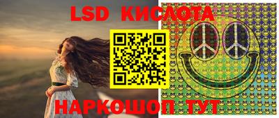 сатива Новозыбков