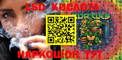 сатива Новозыбков