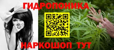 PSILOCYBIN Новодвинск