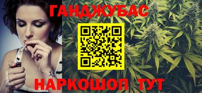 сатива Новозыбков