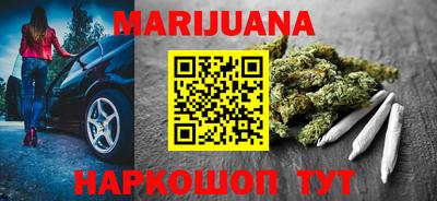 сатива Новозыбков