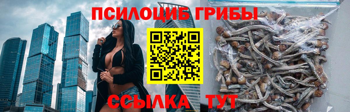Галлюциногенные грибы GOLDEN TEACHER  Вход с VPN  Рубцовск 